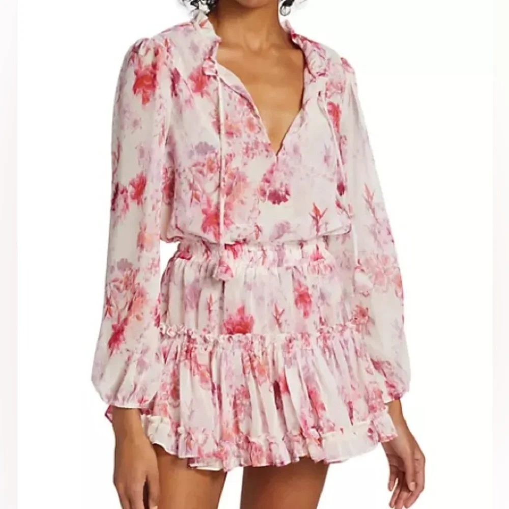 Misa Los Angeles Lorena Dress in Abstract Rose Flora - Picture 4 of 12